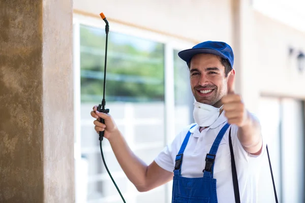 Carson City Wasp Removal