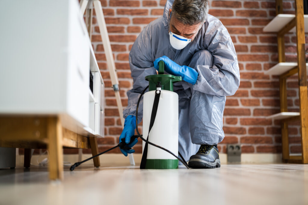 Carson City Spider Control