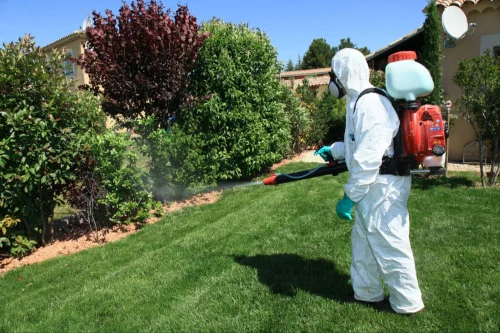 Carson City Mosquito Control