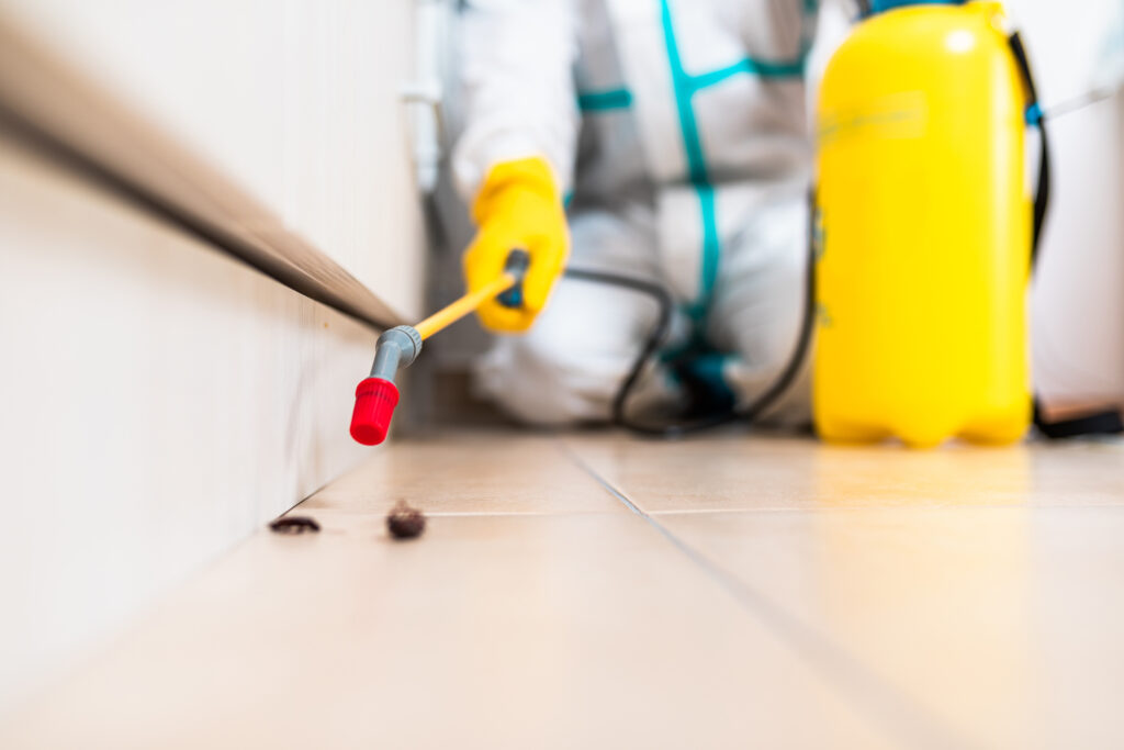 Carson City Cockroach Experts