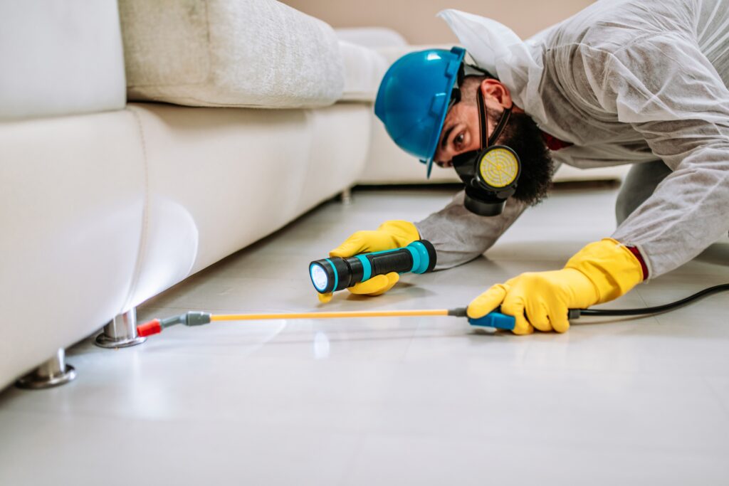 Carson City Termite Control