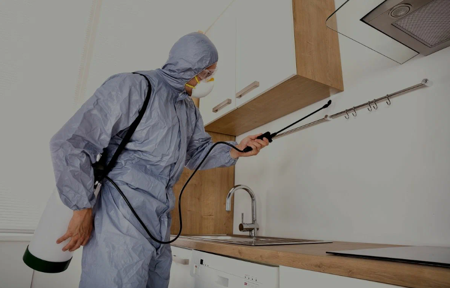 Carson City pest managment