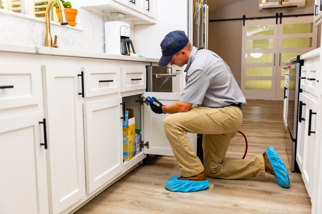 Carson City xpert pest management